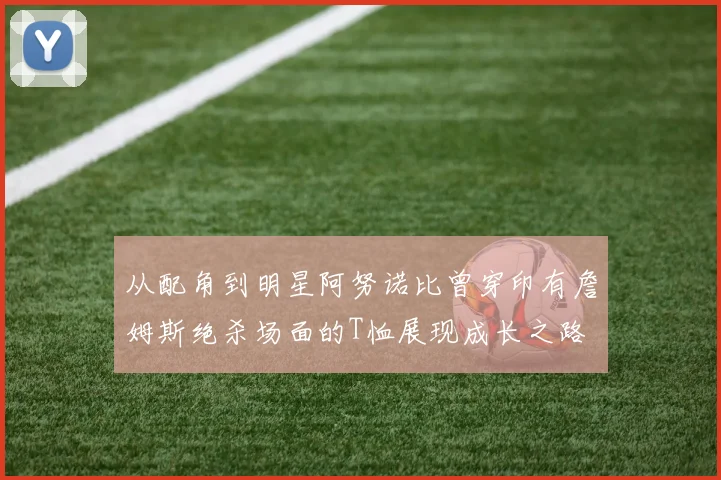 从配角到明星阿努诺比曾穿印有詹姆斯绝杀场面的T恤展现成长之路